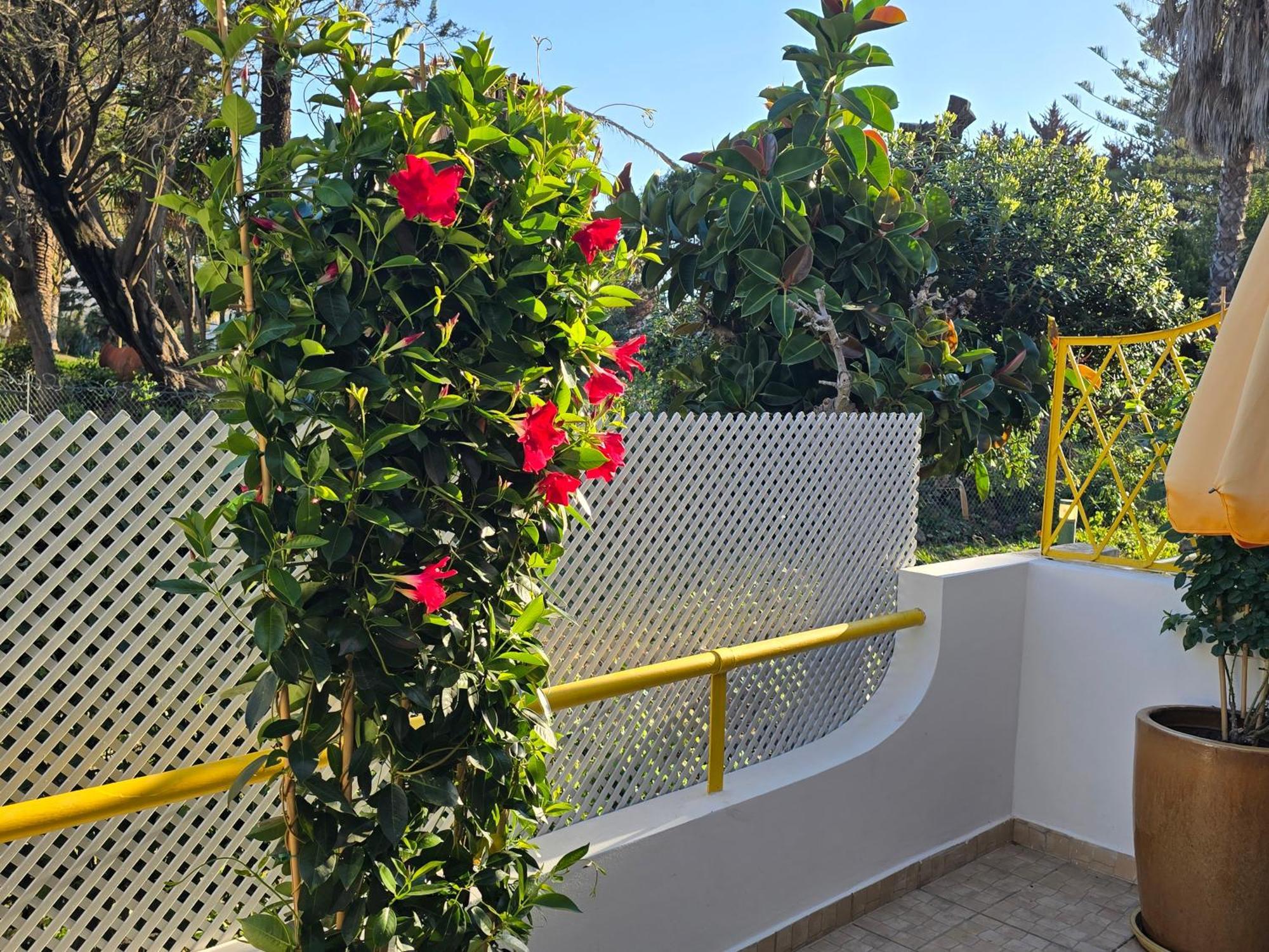 Apartamento Victoria Віламора Екстер'єр фото