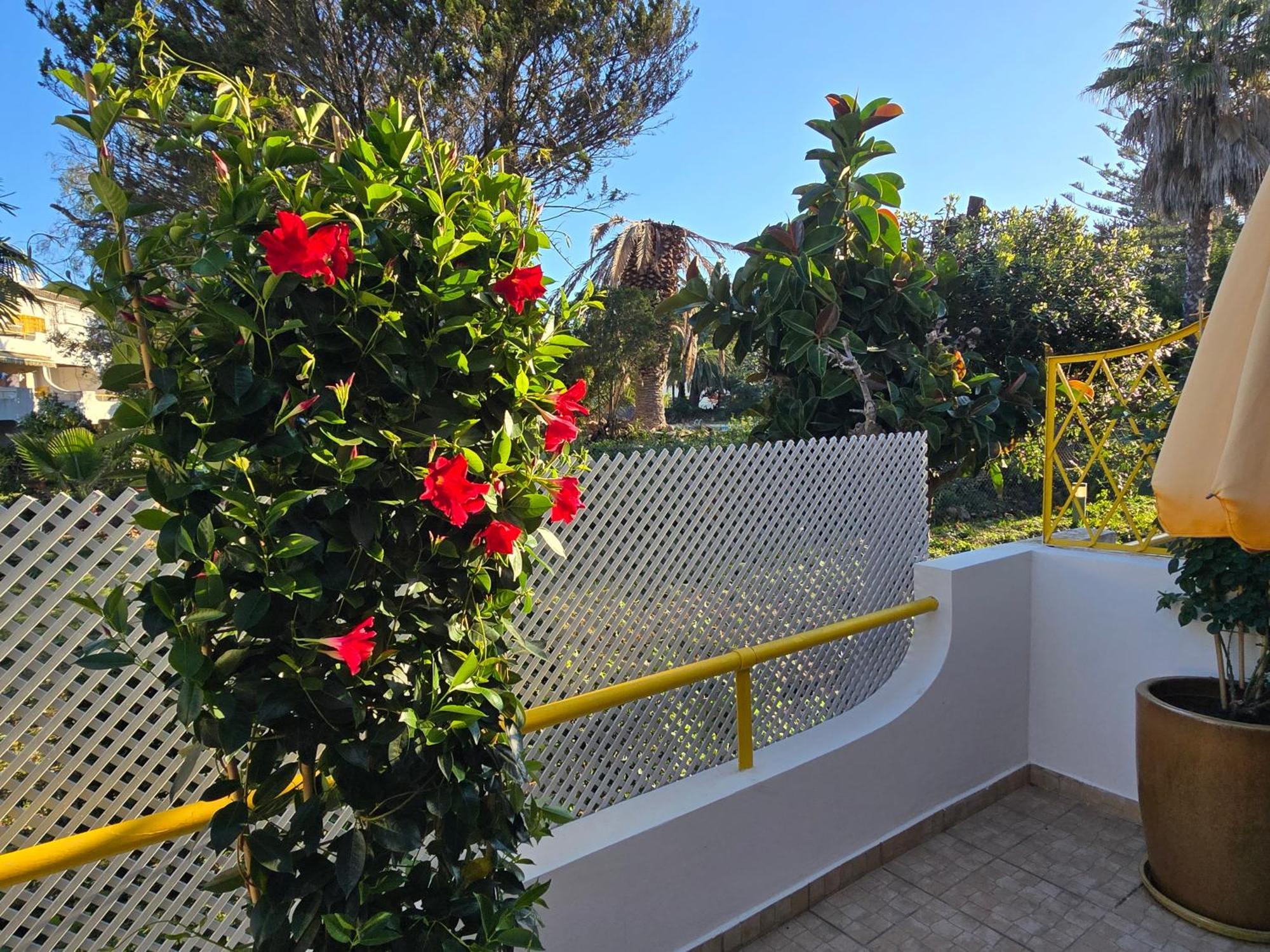 Apartamento Victoria Віламора Екстер'єр фото